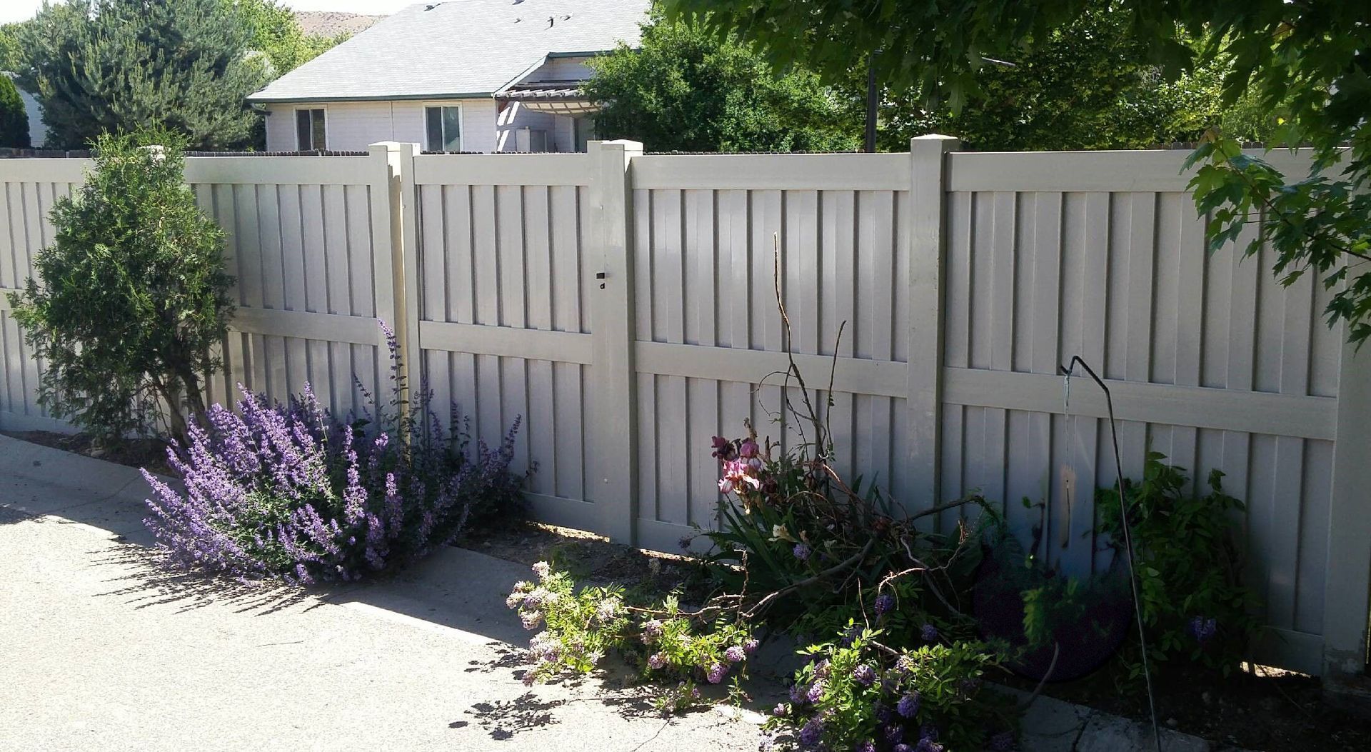 A tall, white vinyl privacy fence with a gate stands in a garden bed with lavender and green shrubs in front of it.