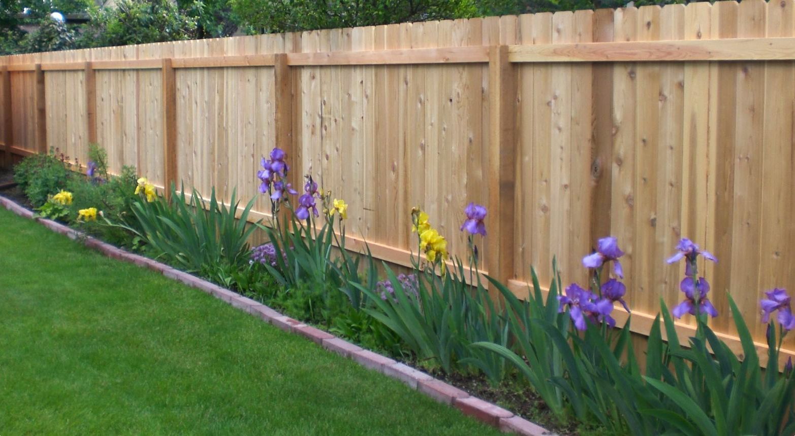 A wooden fence borders a green lawn, accented by a row of vibrant purple and yellow iris flowers.