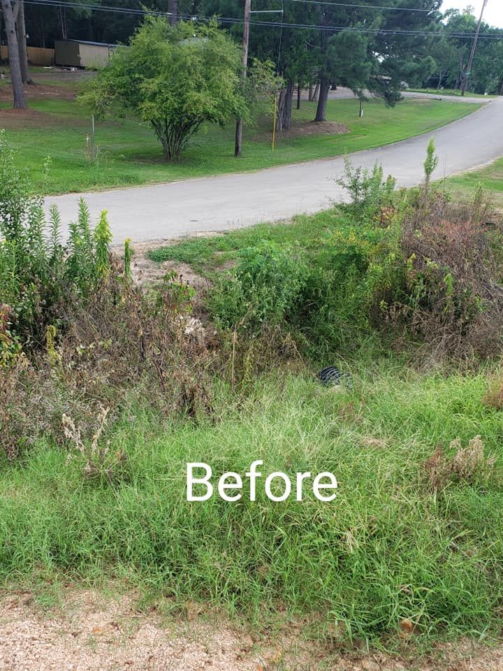 a before picture of a grassy area next to a road