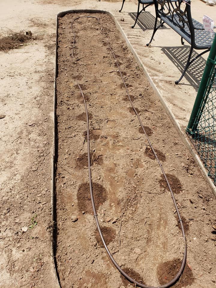 a hose is lying in the dirt next to a bench