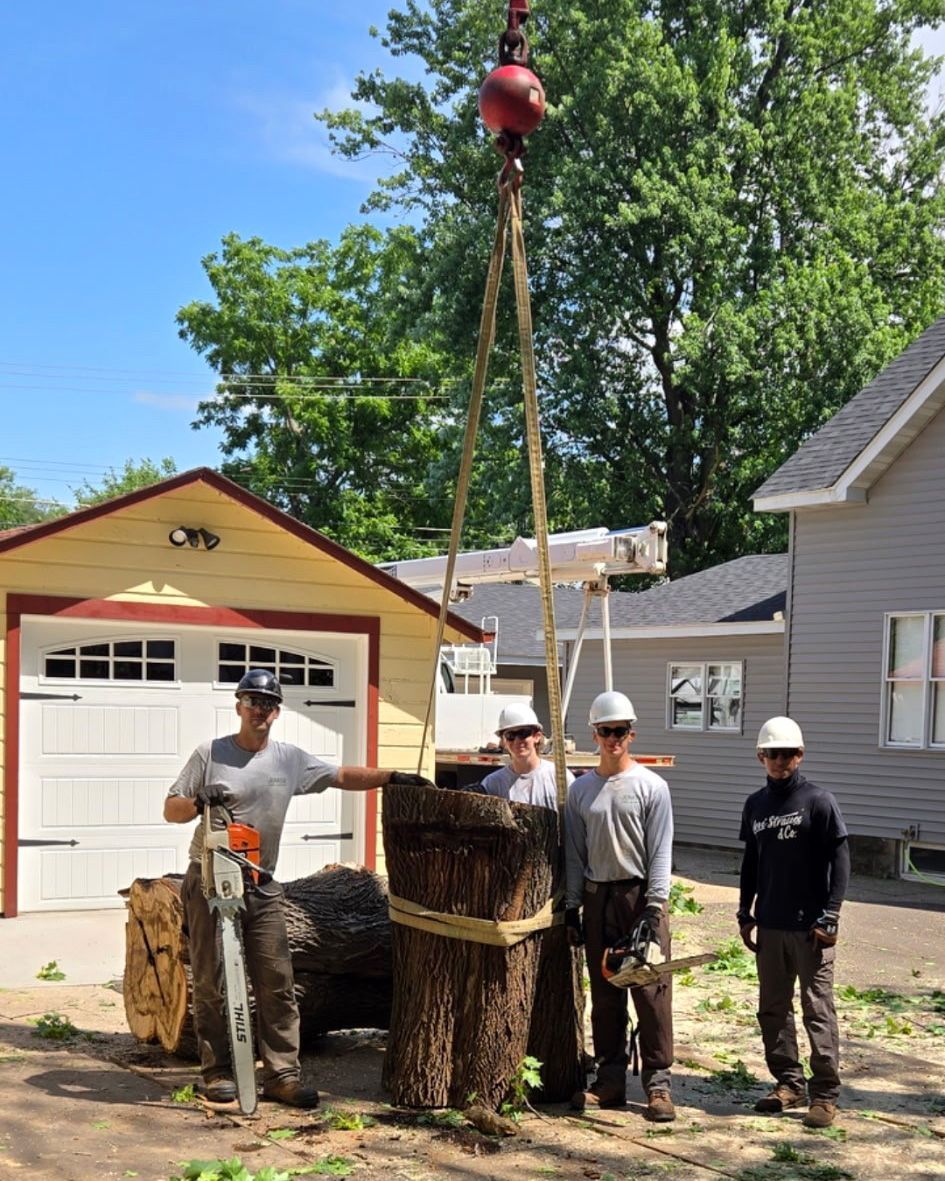Workers lifting a large tree stump with ropes in a suburban driveway