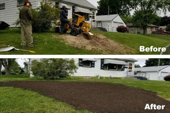 Stump removal before and after pictures