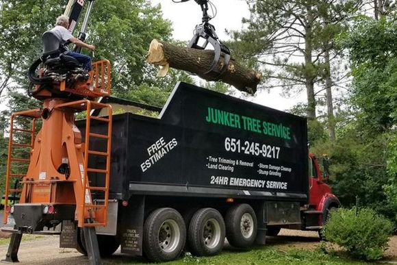 Tree service worker operating a crane to lift a large log onto a black truck