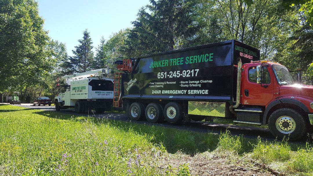 Two commercial trucks parked on grass in a sunny wooded area, one red tree service truck in front.