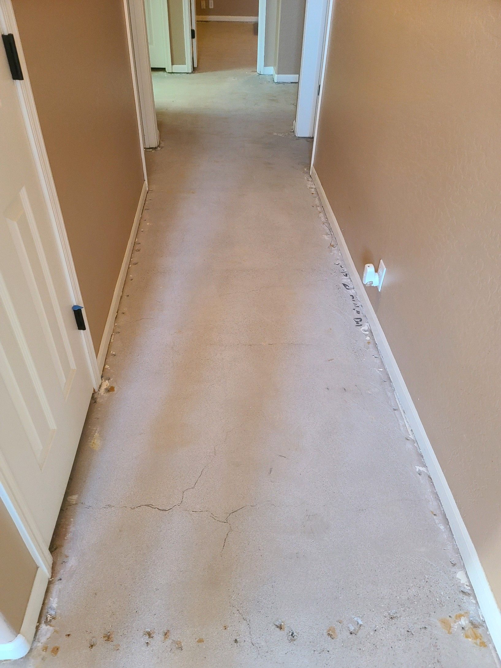 A hallway with a dirty carpet and a door in a house.