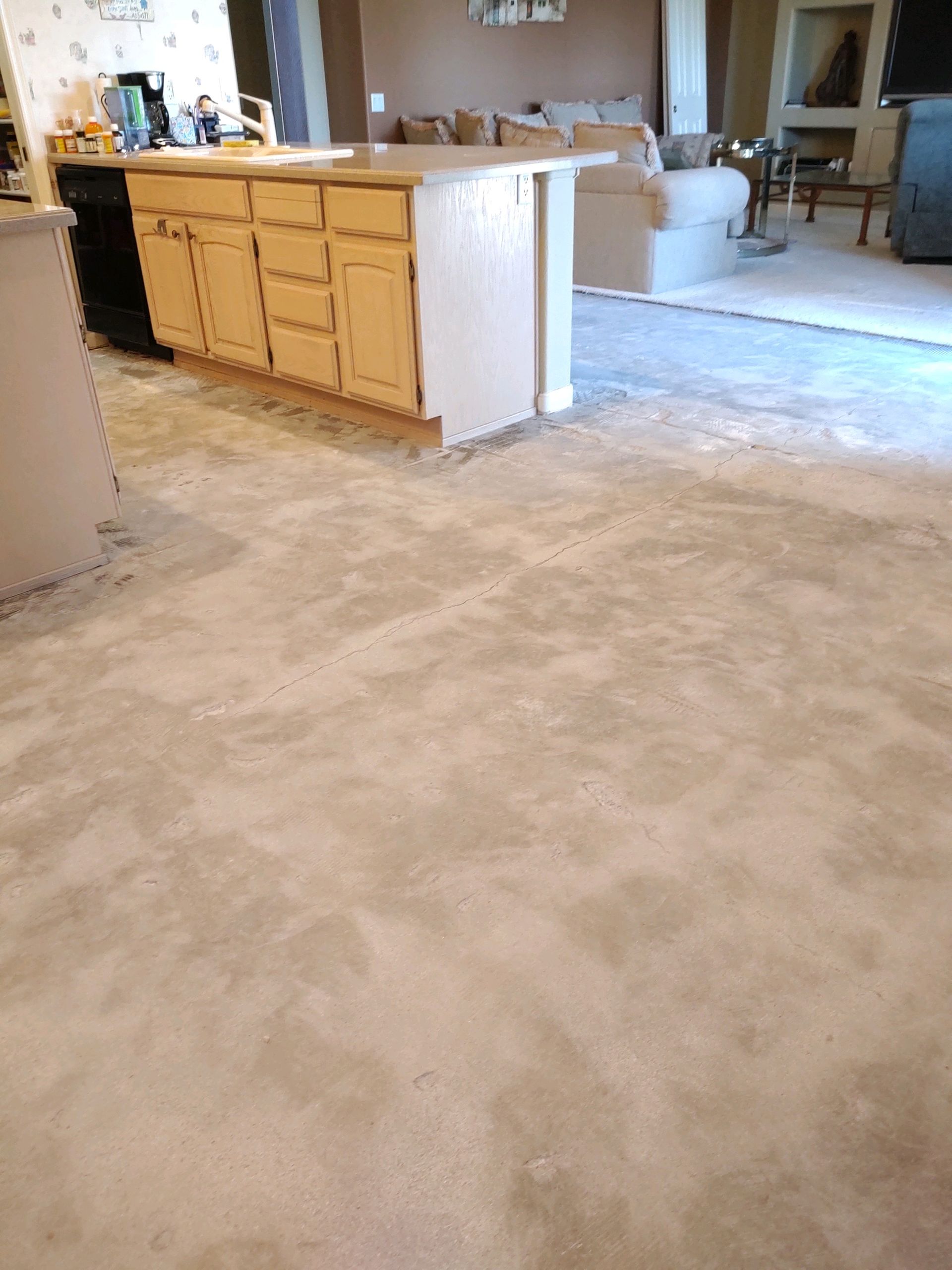 A kitchen and living room with a carpeted floor.