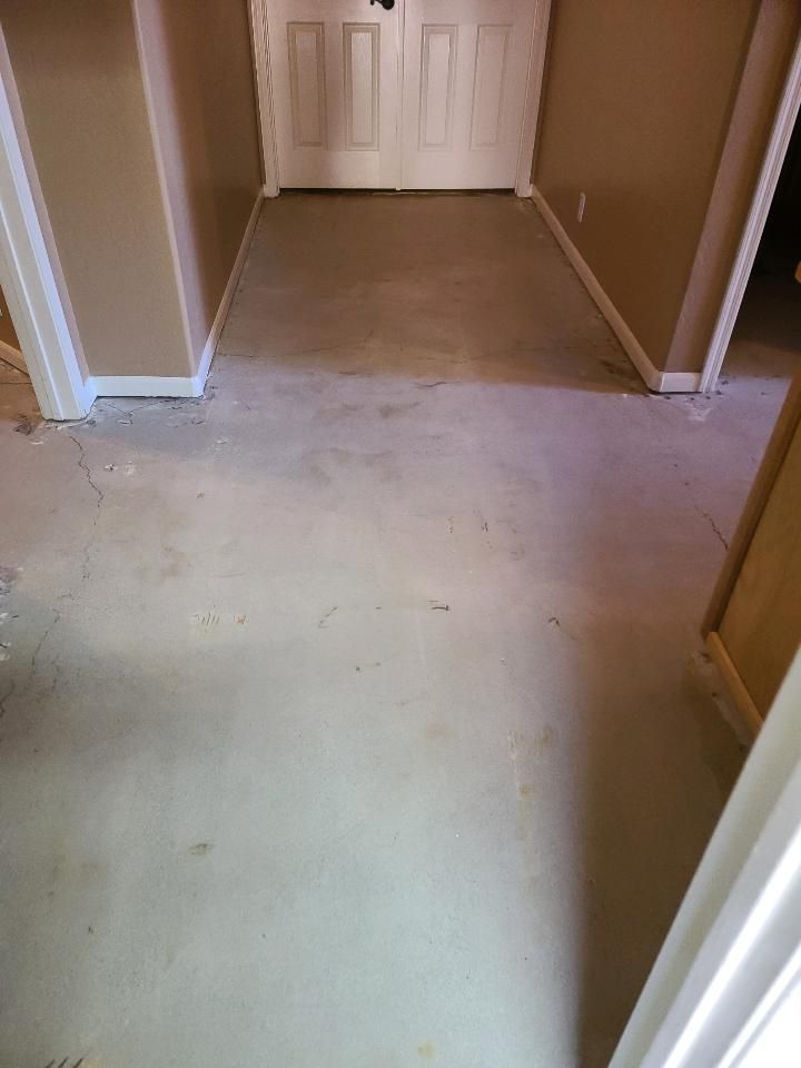 A hallway with a carpeted floor and a door in a house.