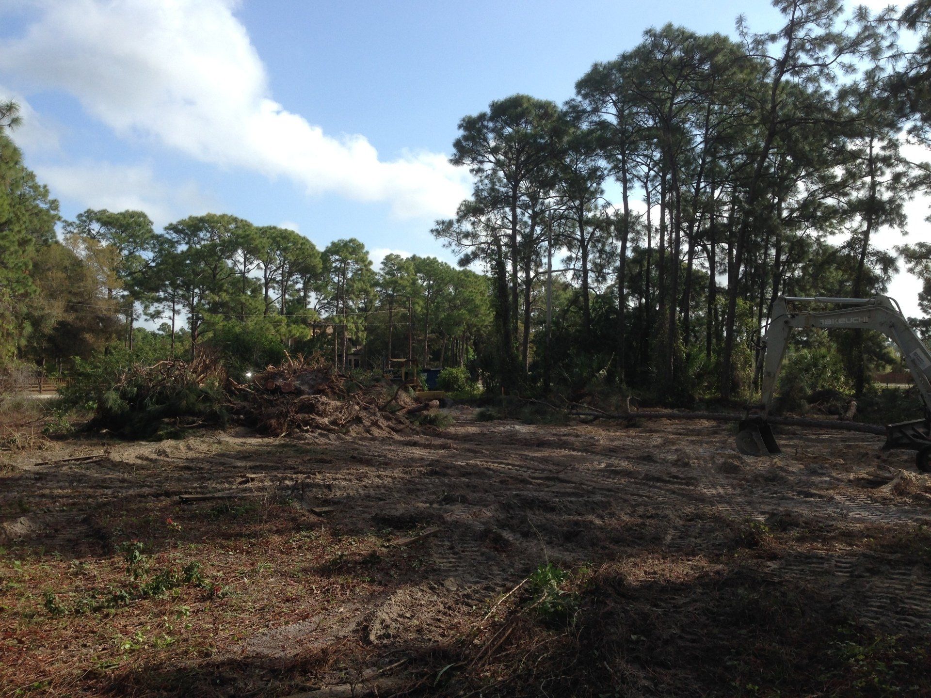 banks before excavation dump