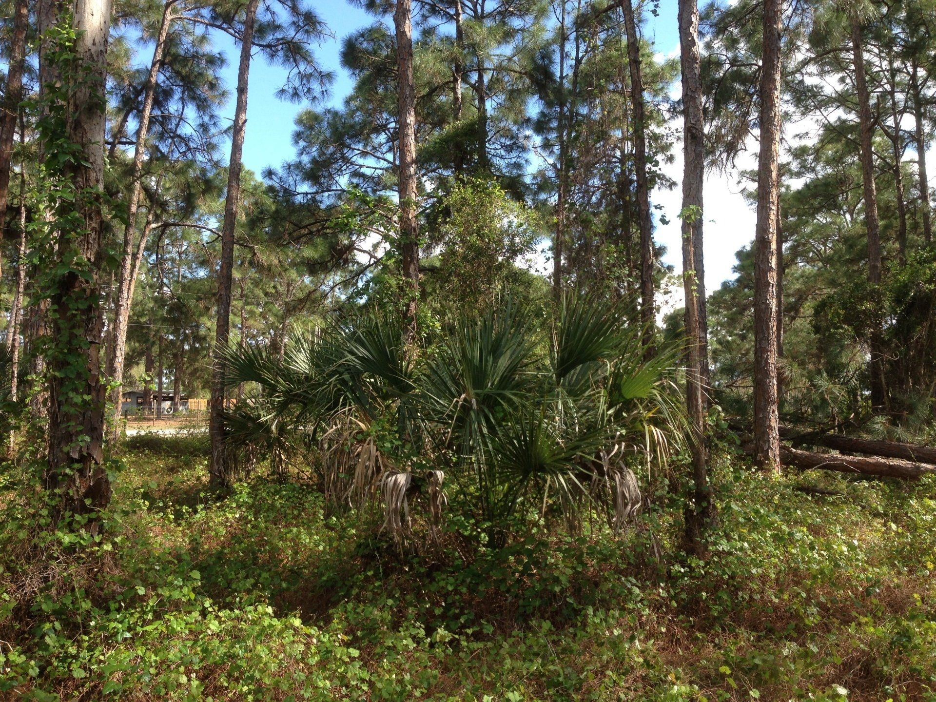 banks before excavation