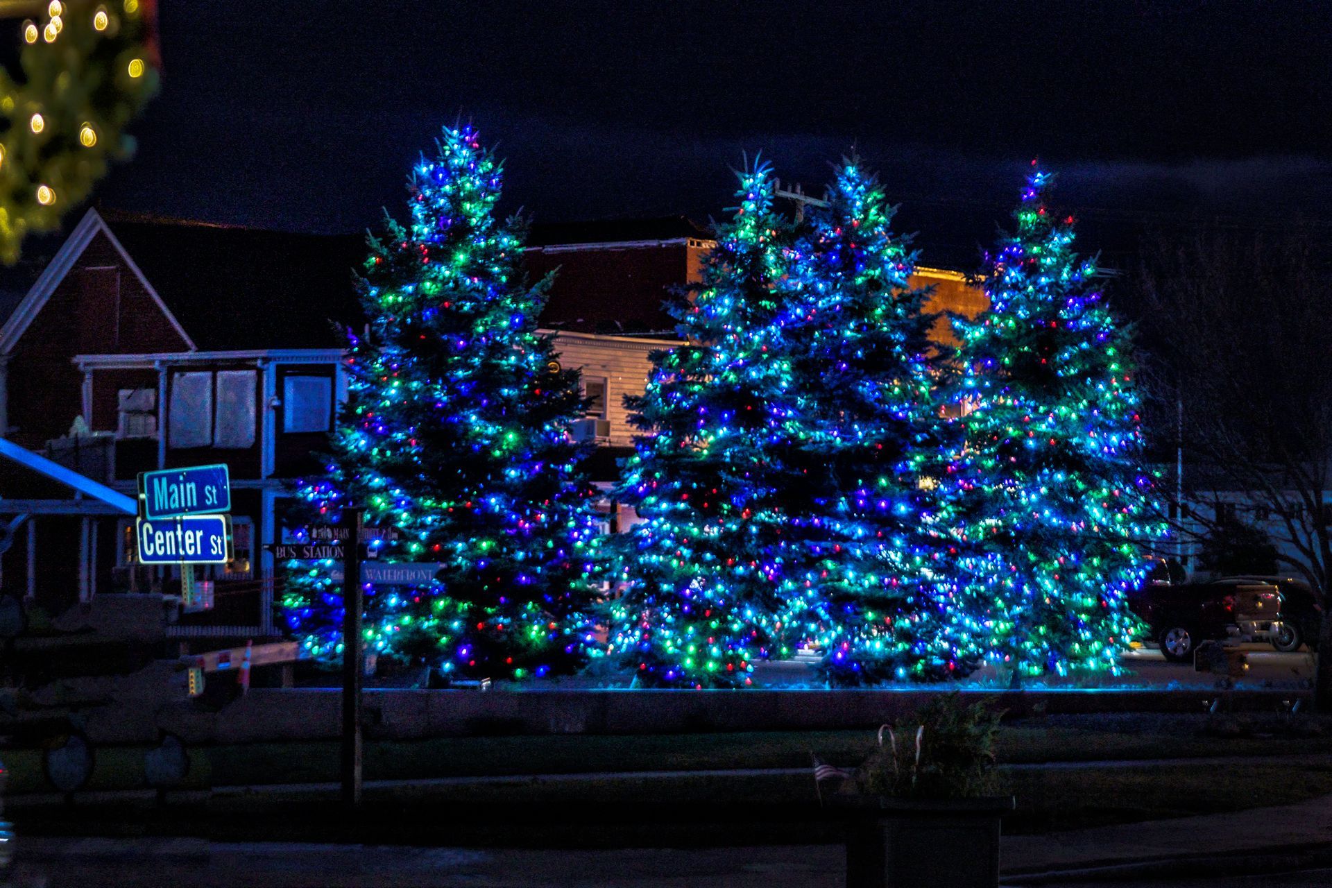 Four lit Christmas trees with blue and green lights at night.