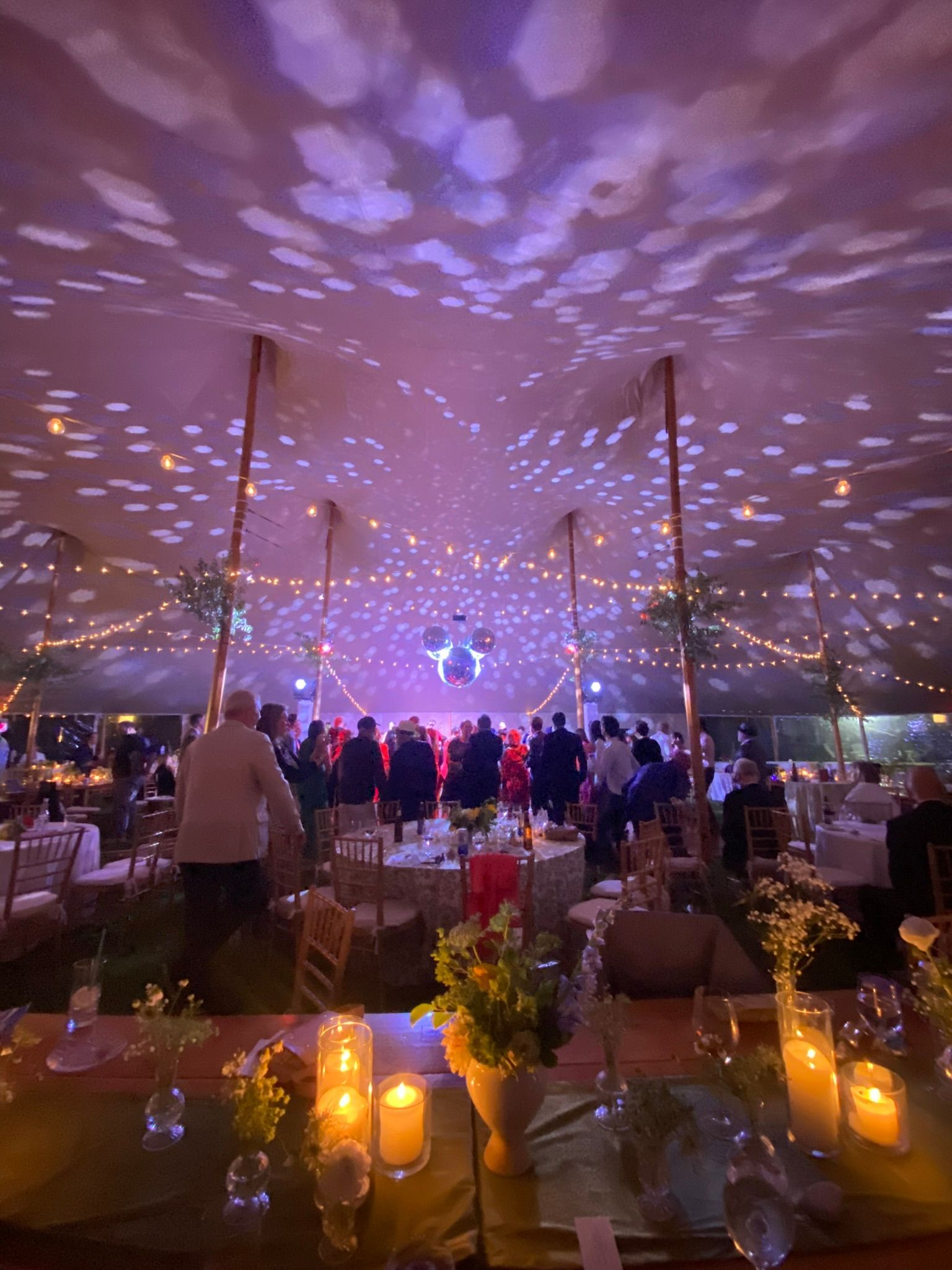 Wedding reception tent with string lights, starry ceiling projection, and people gathered.