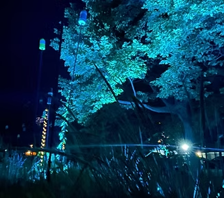 Night scene with trees lit in teal and blue, and lanterns on poles.