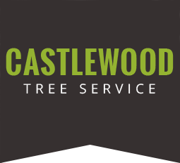 Castlewood Tree Service - Tree Care | Timonium, MD