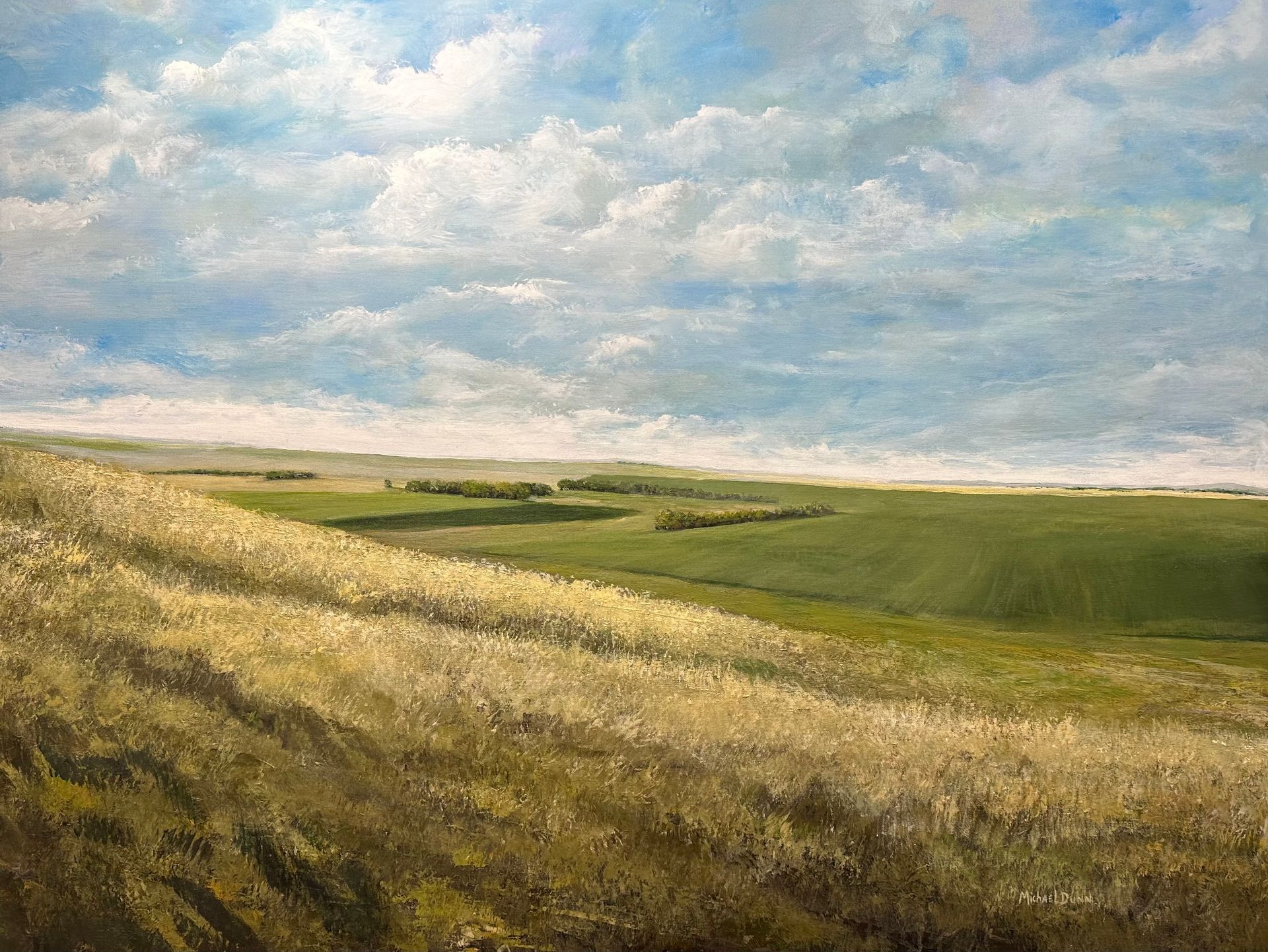 A painting of a field of wheat under a cloudy sky.
