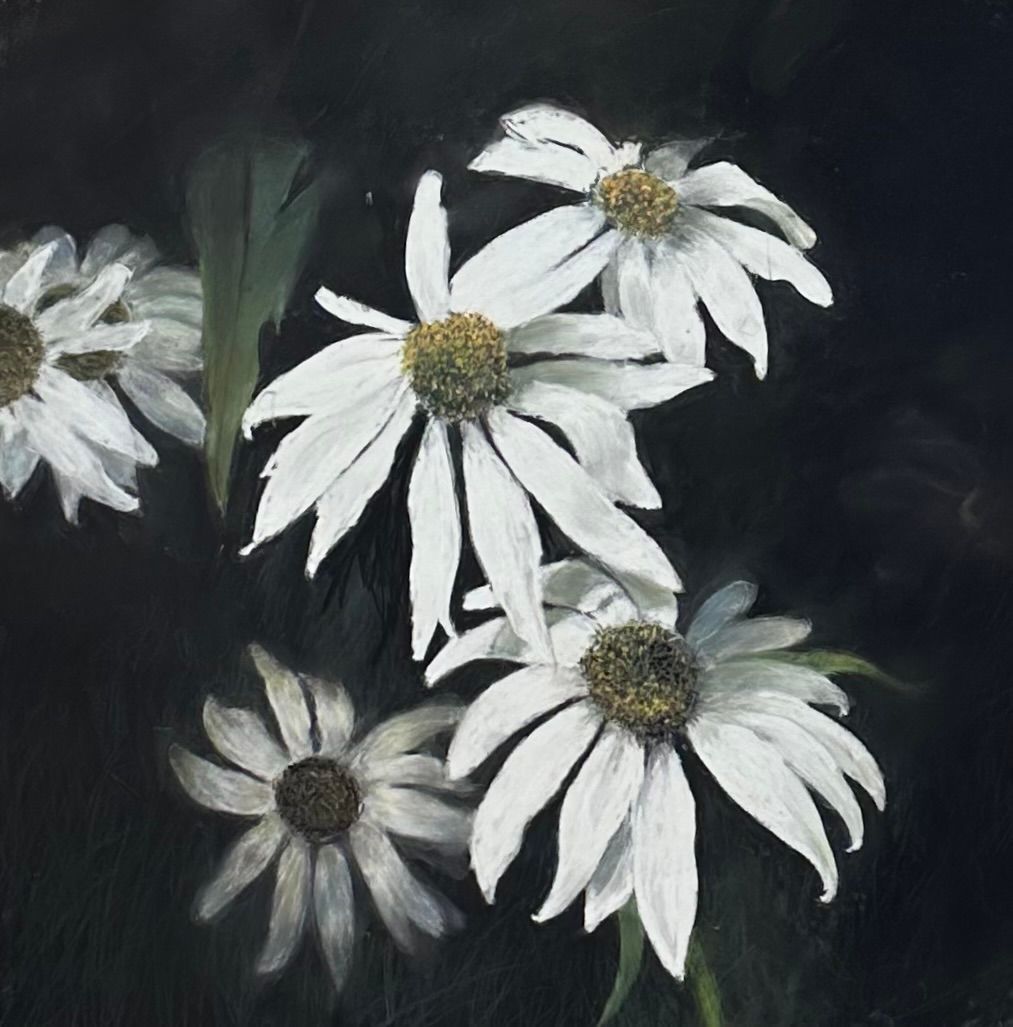 A bunch of white daisies on a dark background