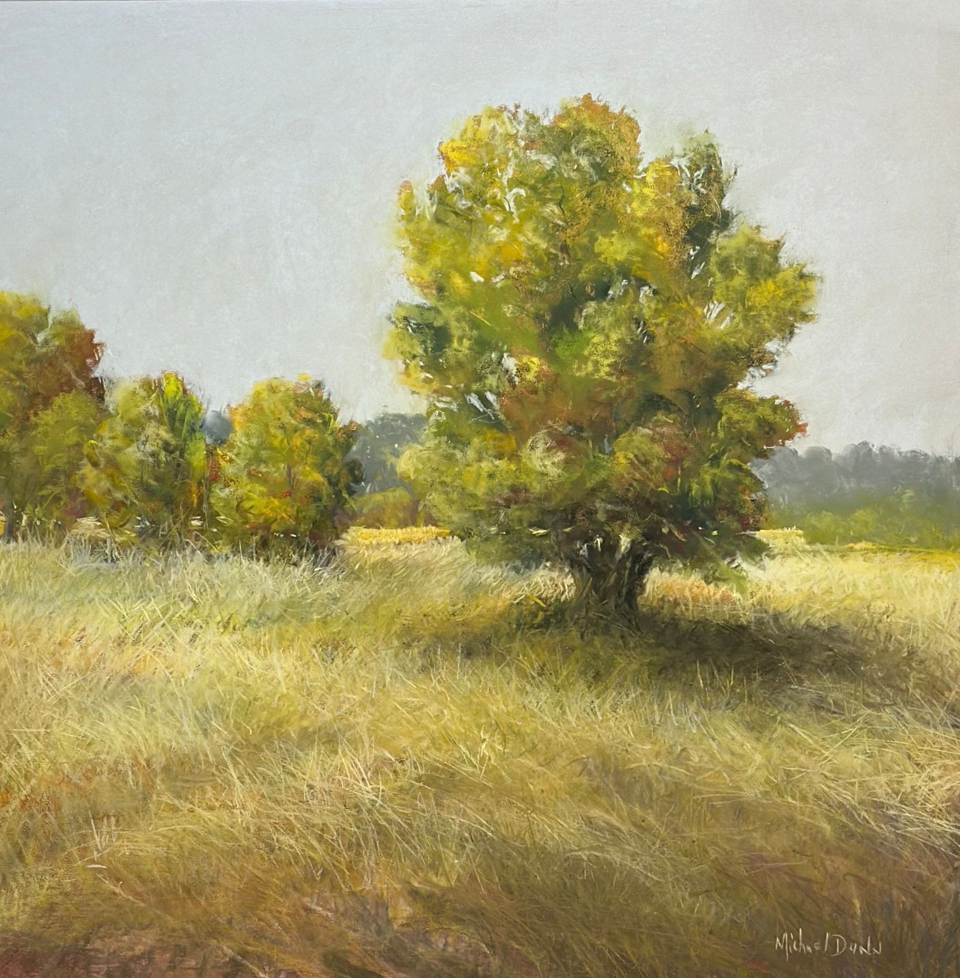 A painting of a tree in the middle of a field
