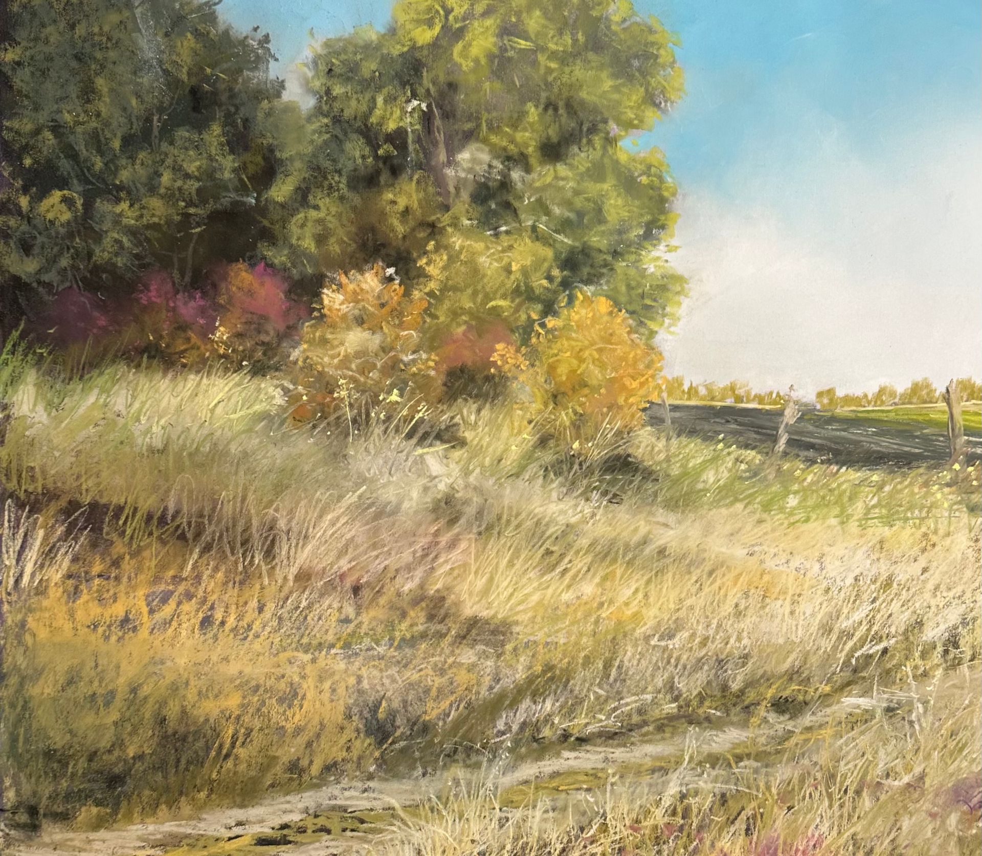 Turning the Land 16X19