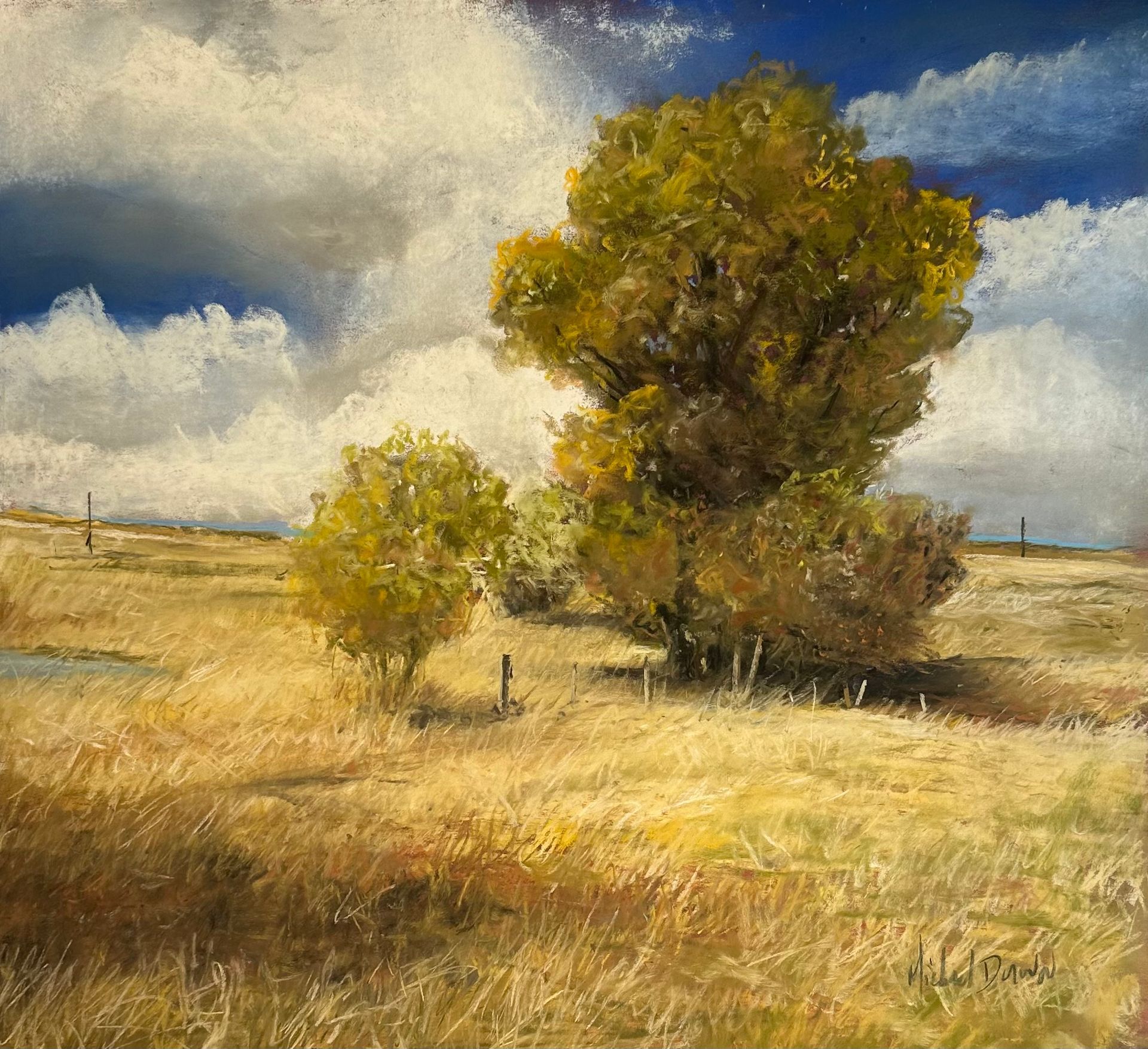 West of Castle Rock 18X18