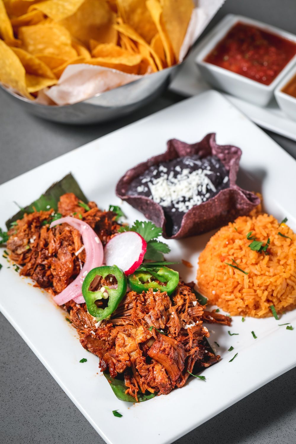 Plate with pulled pork, rice, beans, toppings, tortilla chips, and salsa.
