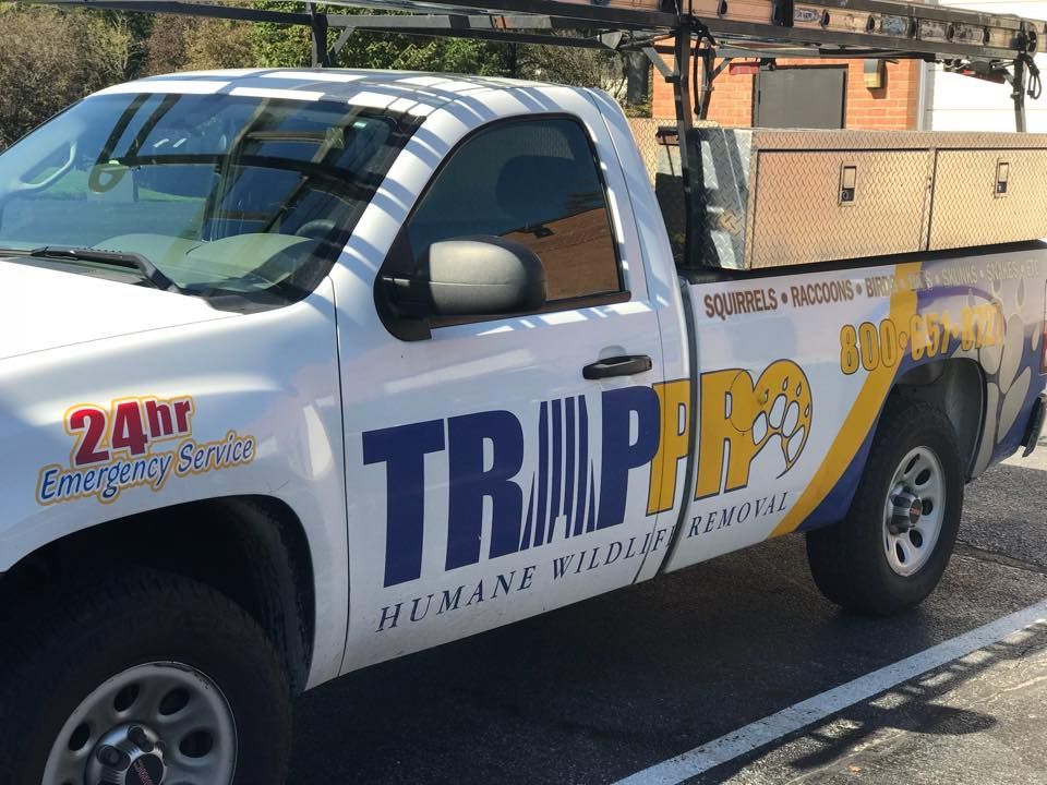 White truck with "TRIPRO HUMANE WILDLIFE REMOVAL" on the side. 24hr emergency service. Squirrels, raccoons.