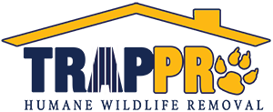 Logo of "TRAPPR" with a house outline and paw print, text "HUMANE WILDLIFE REMOVAL".
