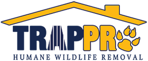 Logo of "TRAPPR" with a house outline and paw print, text "HUMANE WILDLIFE REMOVAL".