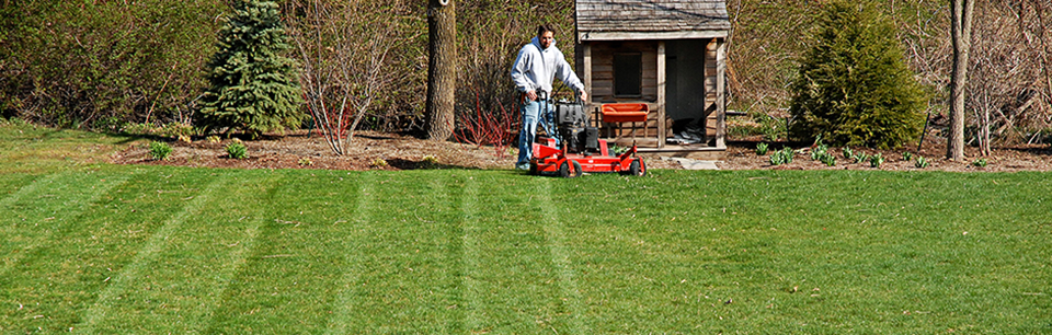 Lawn maintenance