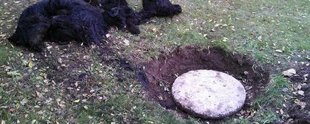 septic tank cleaning for a residential house