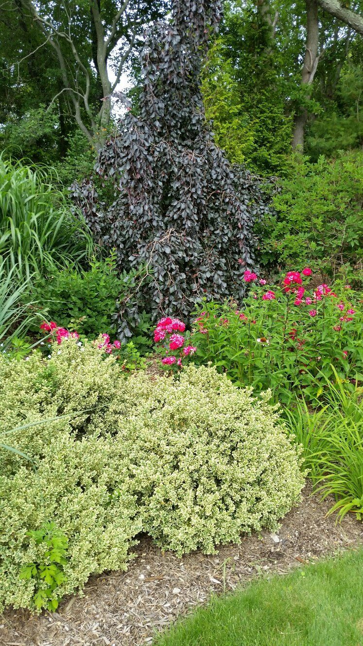 Creative Touch Landscaping work sample