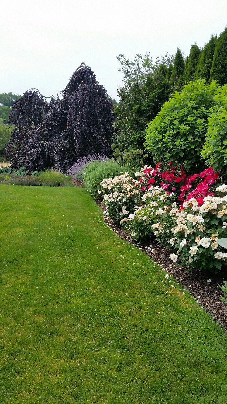 Creative Touch Landscaping work sample