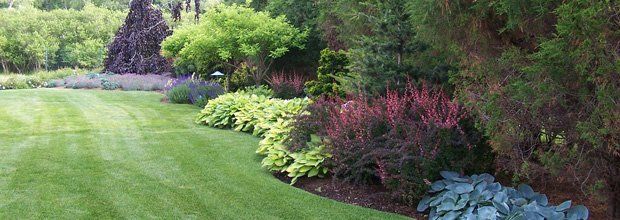 Creative Touch Landscaping work sample