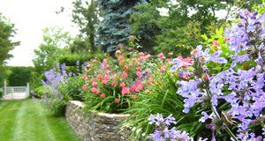 Creative Touch Landscaping work sample