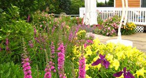 Creative Touch Landscaping work sample