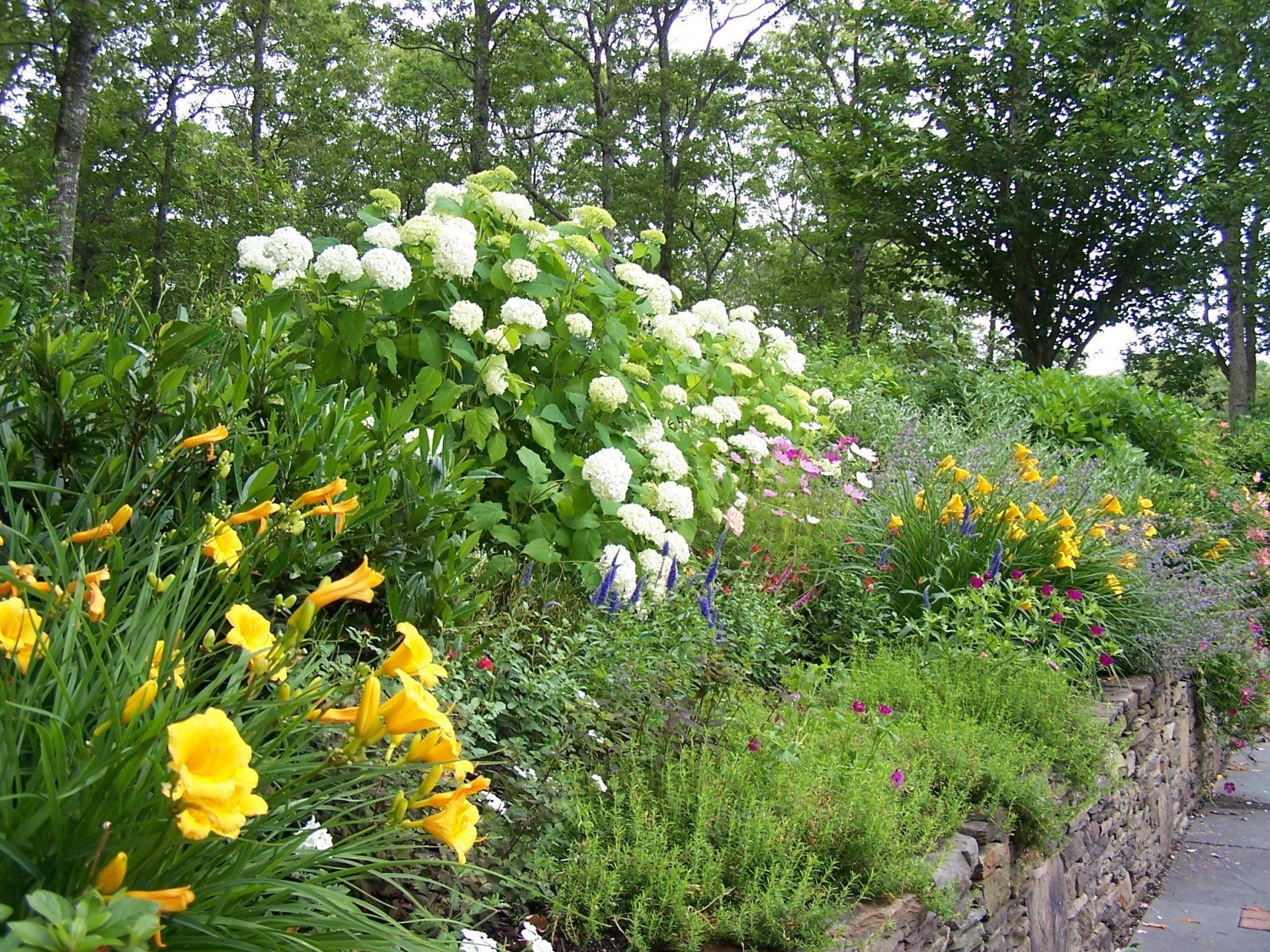 Creative Touch Landscaping work sample