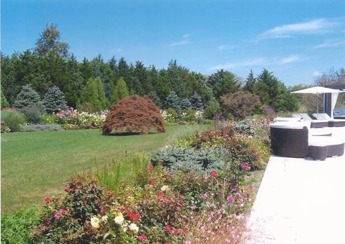 Creative Touch Landscaping work sample