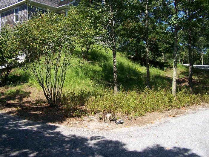 Creative Touch Landscaping work sample