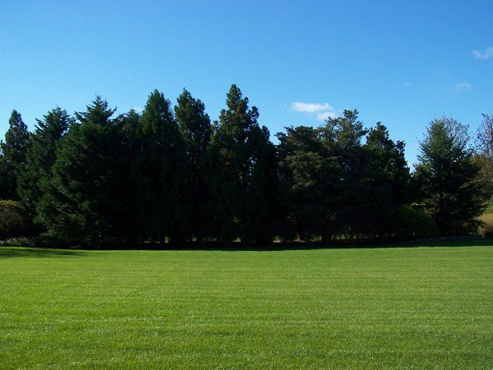 Creative Touch Landscaping work sample