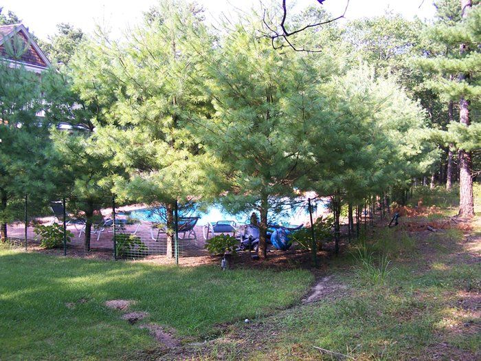 Creative Touch Landscaping work sample