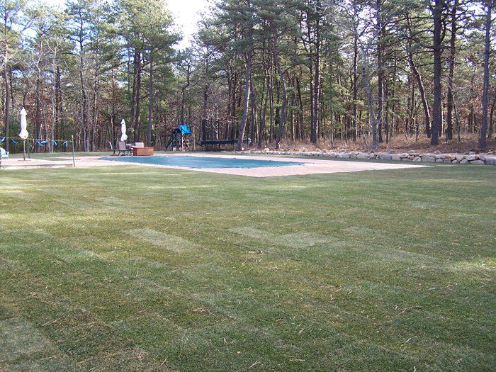 Creative Touch Landscaping work sample