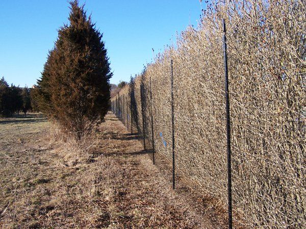 Deer Fencing