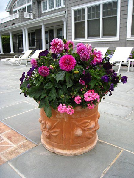 flower Pots