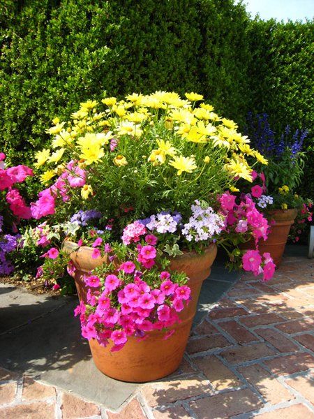 flower Pots