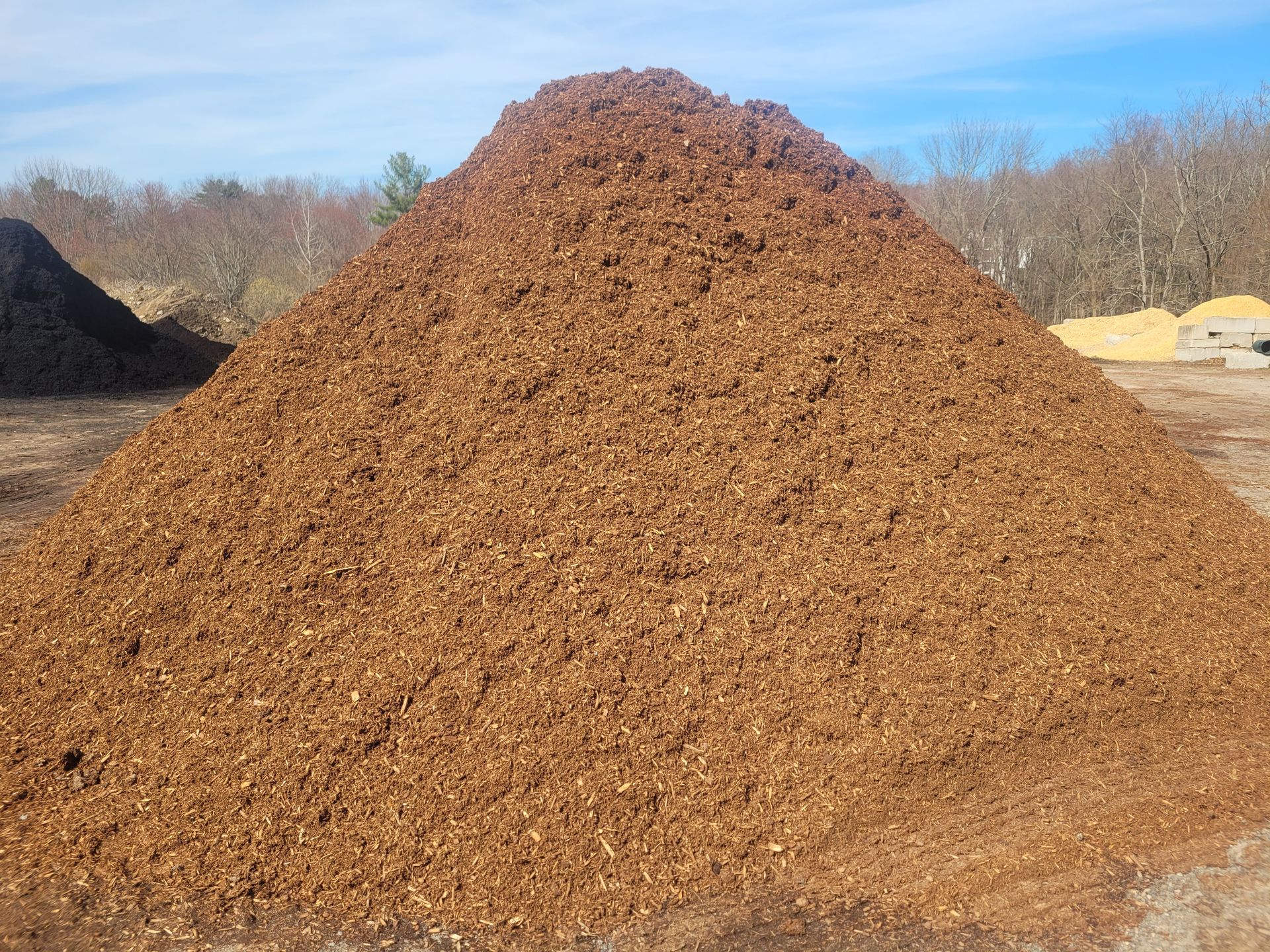 Hemlock Mulch