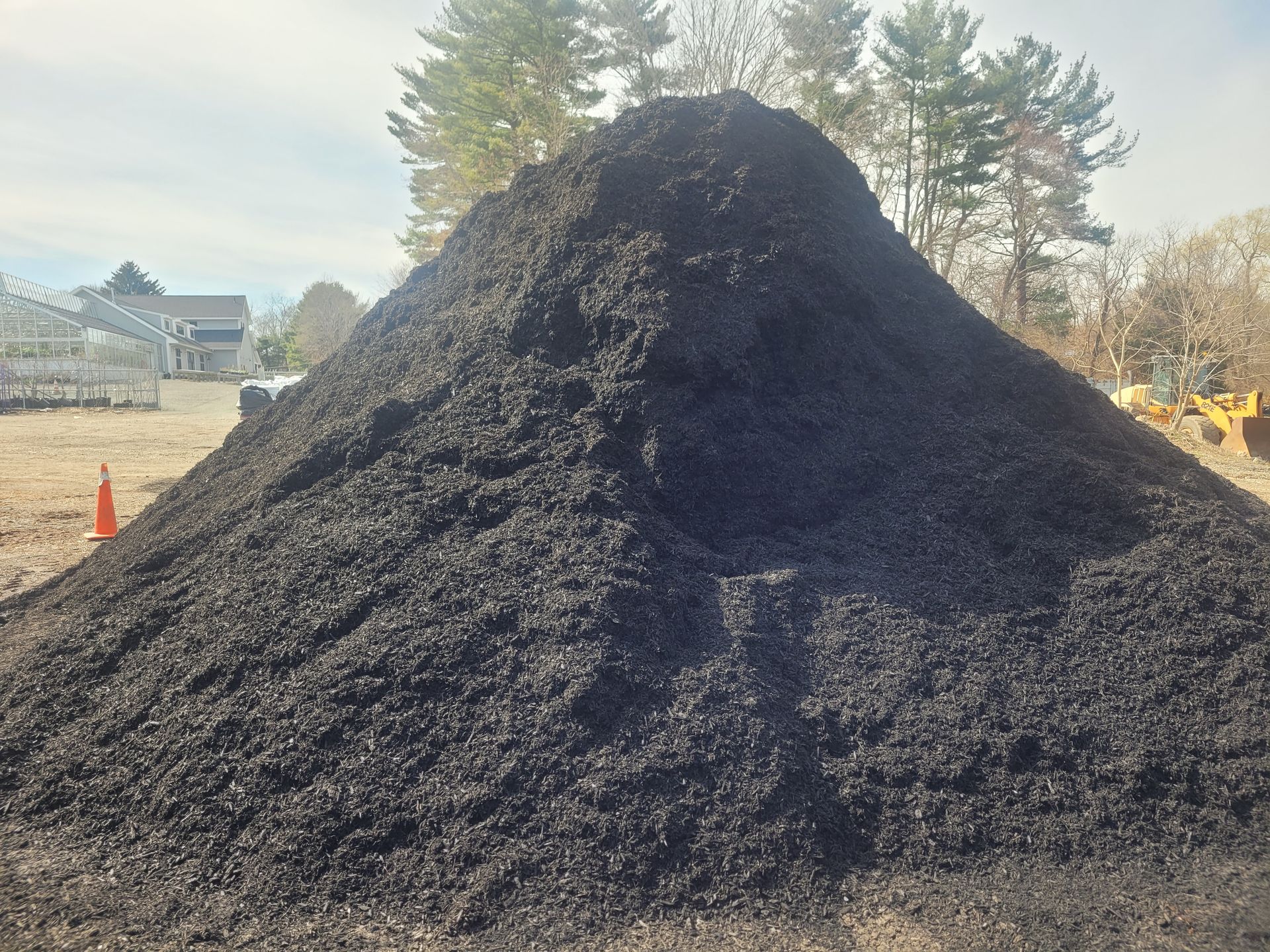 Black Forest Mulch