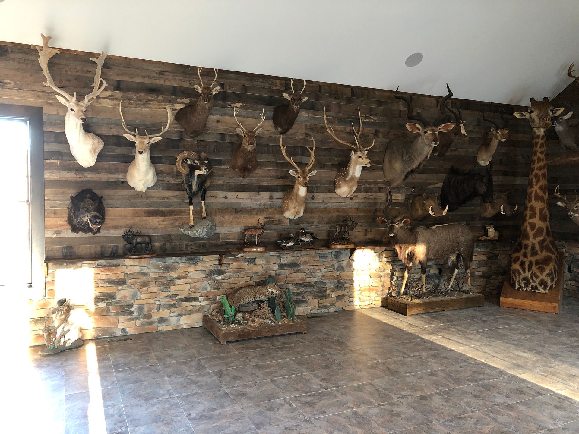 Rustic room with mounted animal heads, stone-and-wood walls, and a giraffe sculpture on the right.