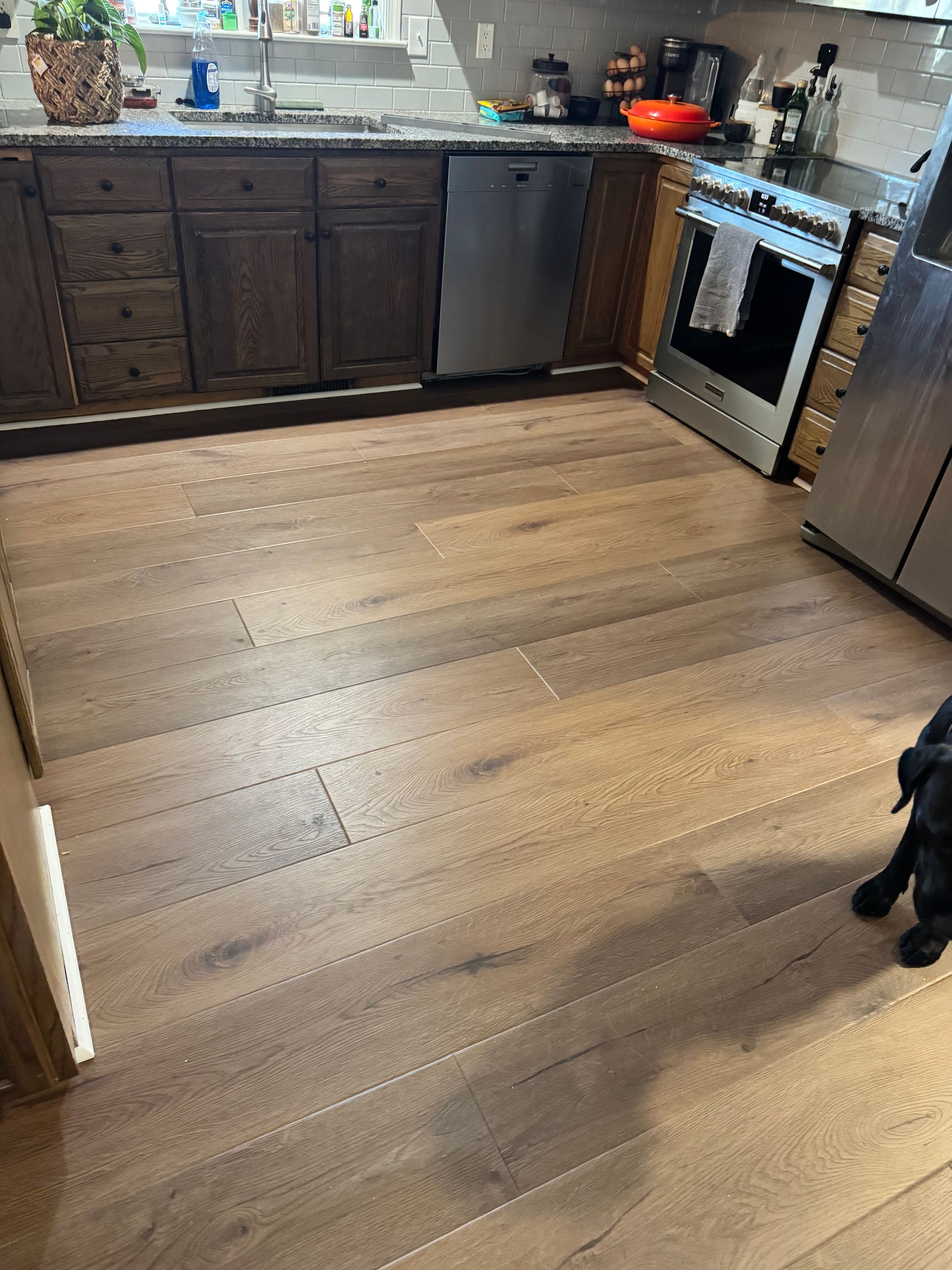 Kitchen with dark cabinets, light wood floor, white countertop, and a small black dog at the lower right.