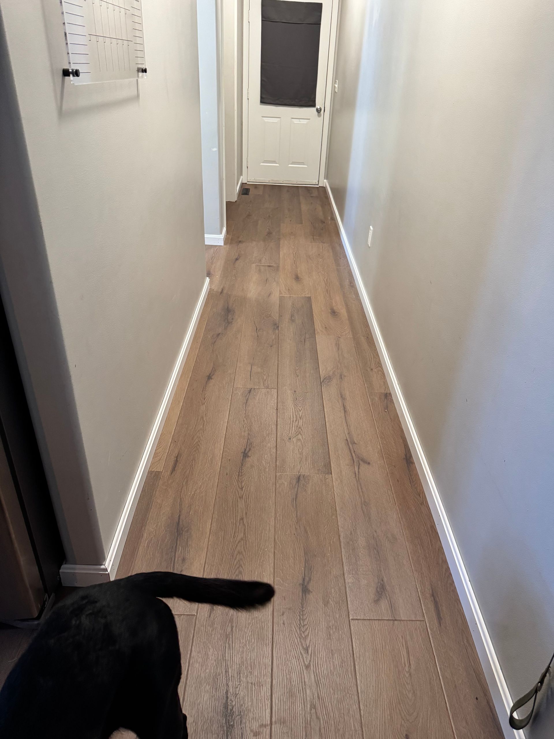 Narrow hallway with wood floor, white walls, and a black cat partly visible at the bottom left.