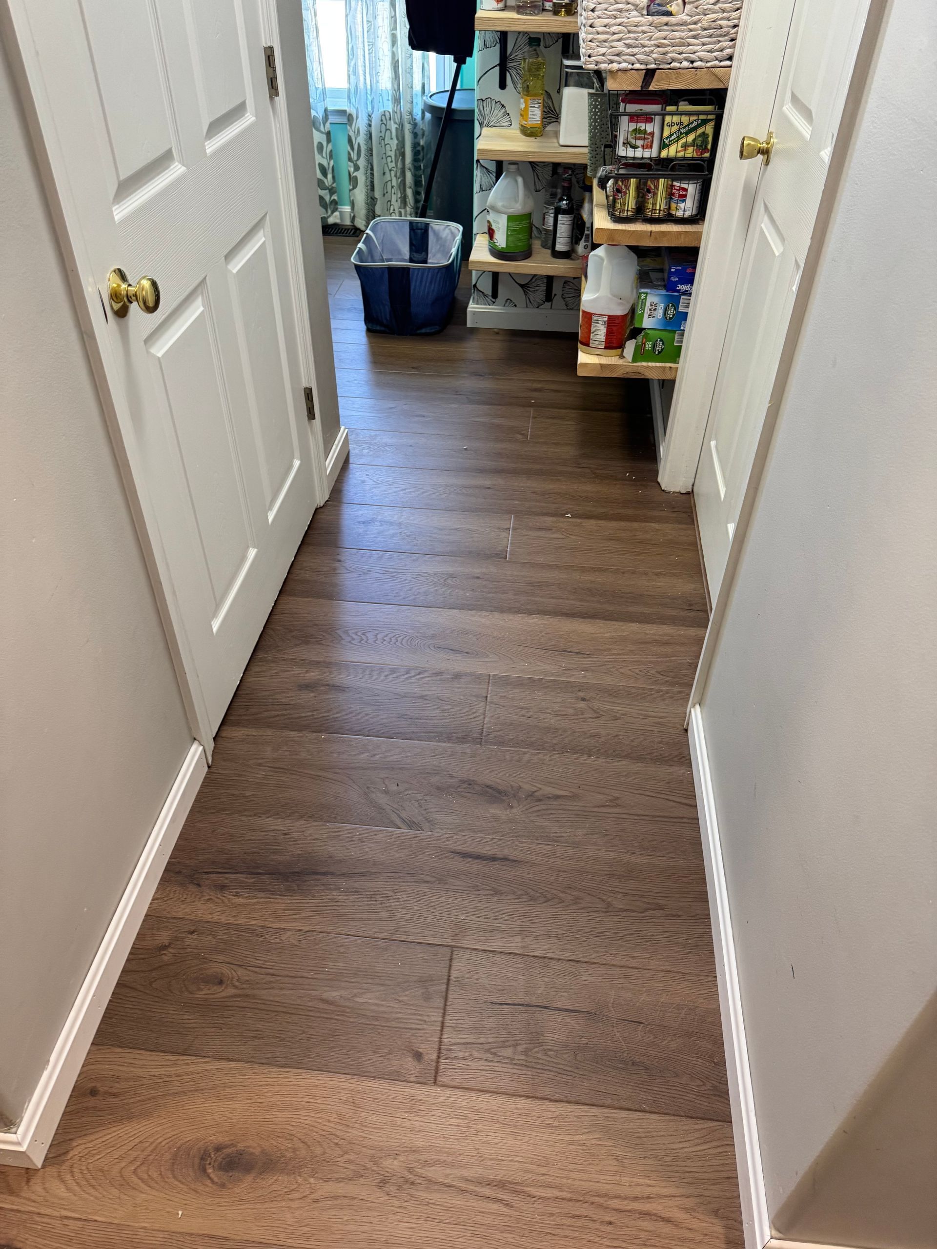 Narrow hallway with wood flooring leading to a cluttered pantry and storage shelves.