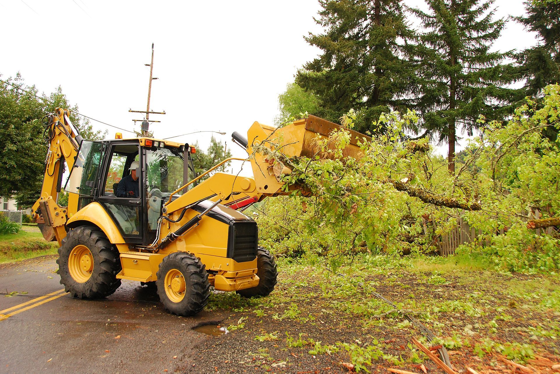 Tree Trimming Companies Ft Worth, TX | Burleson Tree Service