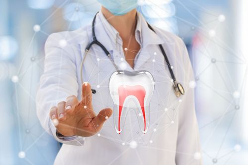 Borealis Dental Studio